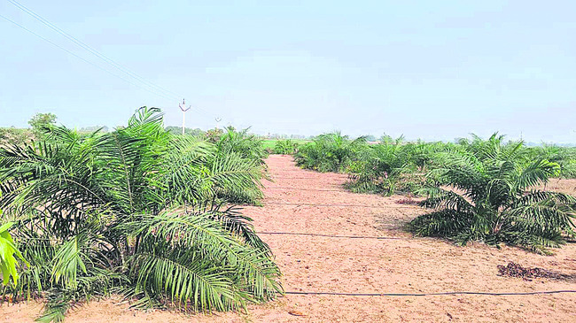 సదస్సులు.. ప్రోత్సాహకాలు1