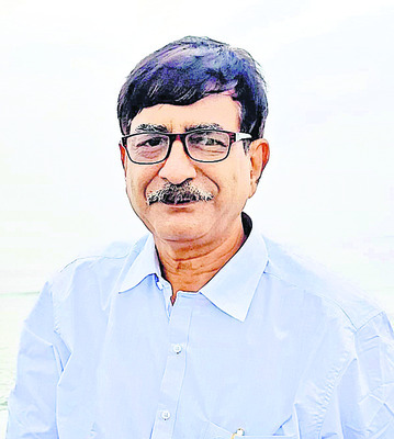 సీ వీడ్.. సో గుడ్ 4