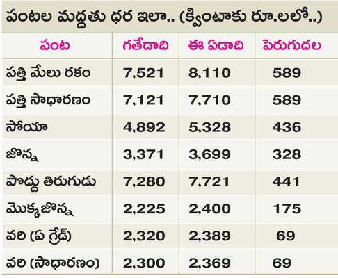 పత్తి రైతుకు ఊరట1