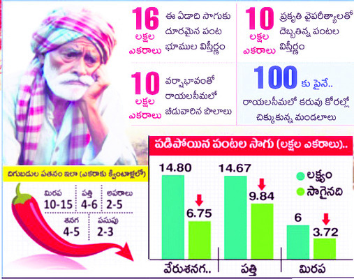 మద్దుతు ధర.. అరకొర 1