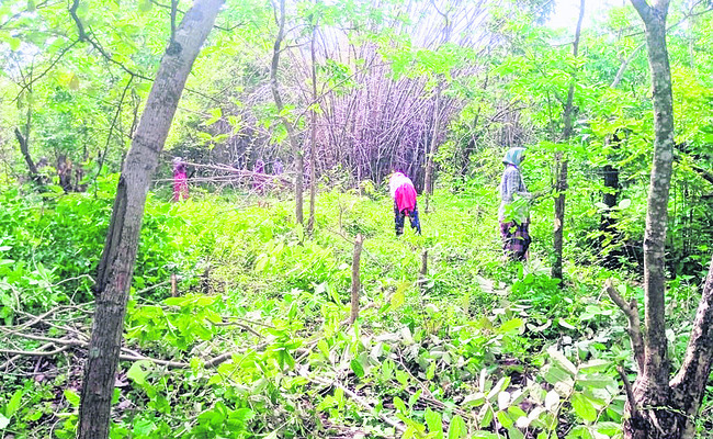 కార్పొరేషన్ భూముల ఆక్రమణకు యత్నం1