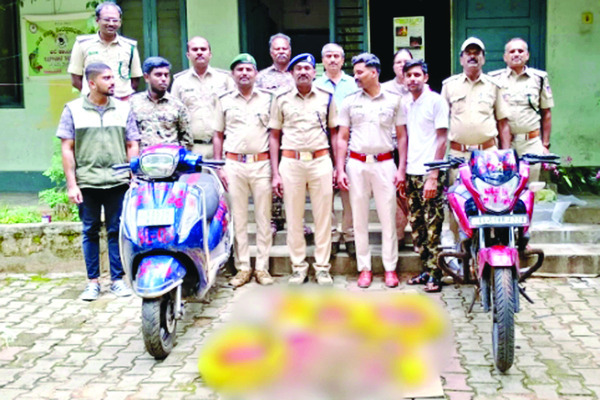 ముళ్ల పందుల మాంసం స్వాధీనం1