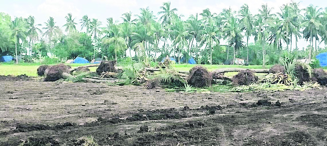 రెచ్చిపోతున్న మట్టి మాఫియా 1