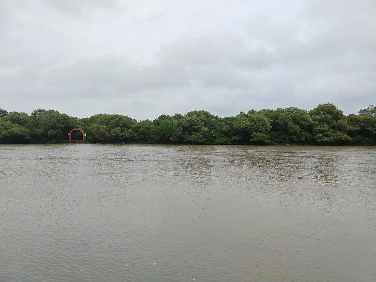 Coringa Wildlife Sanctuary Near Kakinada in Andhra Pradesh Photos10