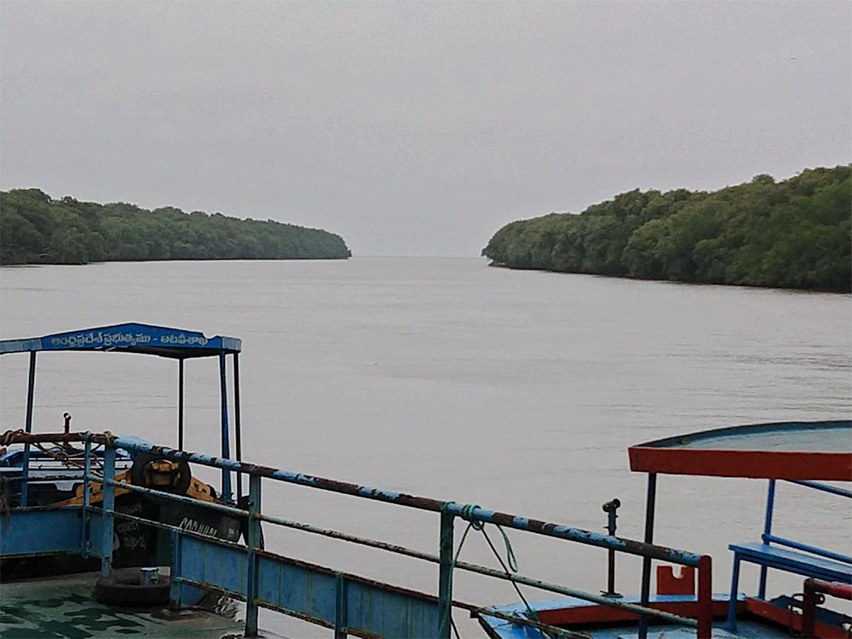 Coringa Wildlife Sanctuary Near Kakinada in Andhra Pradesh Photos11