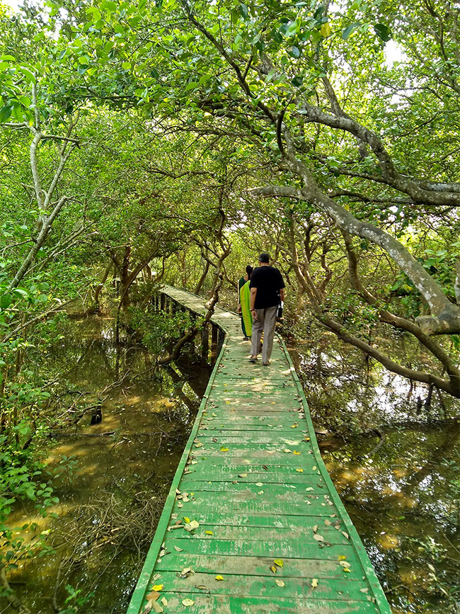 Coringa Wildlife Sanctuary Near Kakinada in Andhra Pradesh Photos20
