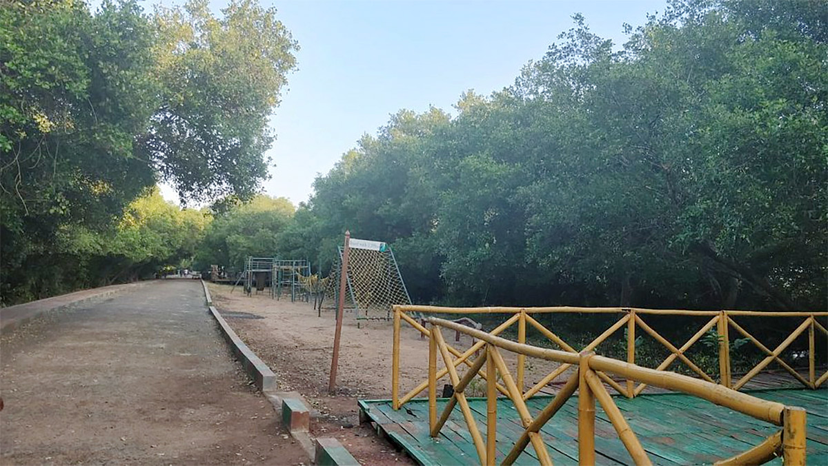 Coringa Wildlife Sanctuary Near Kakinada in Andhra Pradesh Photos8