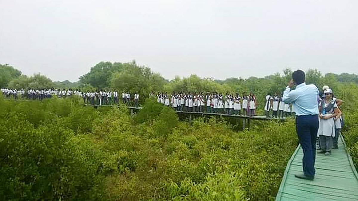 Coringa Wildlife Sanctuary Near Kakinada in Andhra Pradesh Photos9