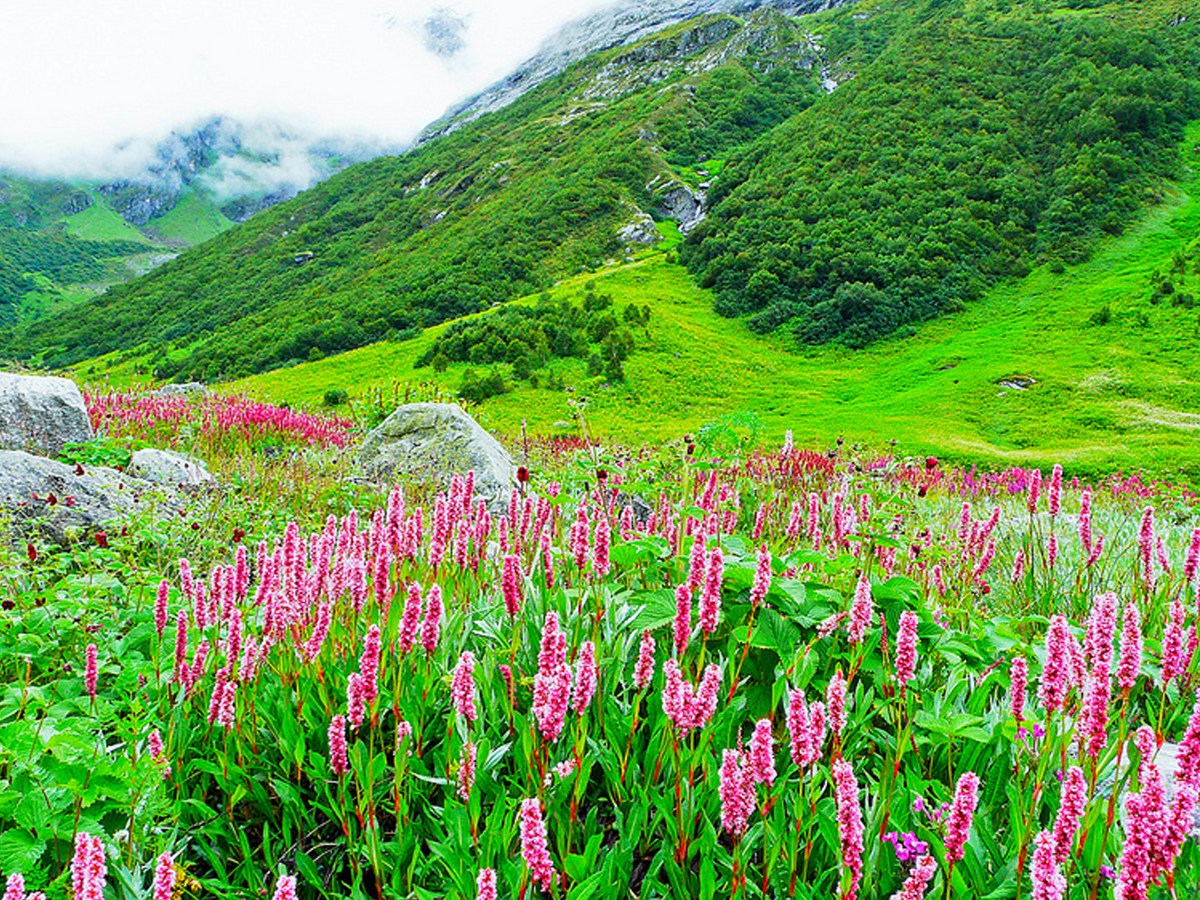 World Environment Day 2025: Most Beautiful Nature Destinations In India 1