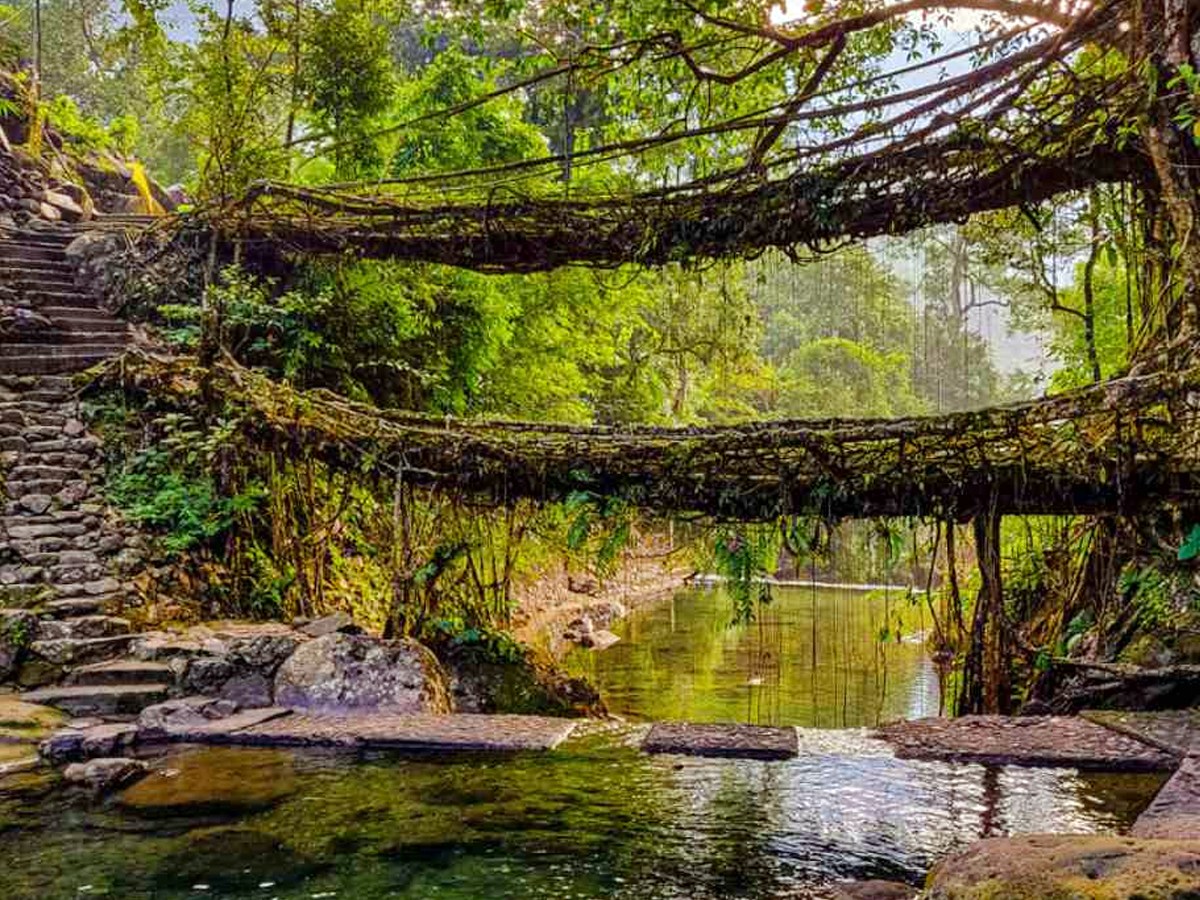 World Environment Day 2025: Most Beautiful Nature Destinations In India 3