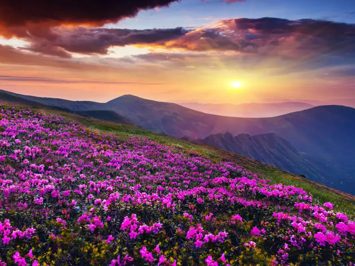 World Environment Day 2025: Most Beautiful Nature Destinations In India 2