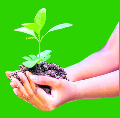 ‘పచ్చని’ వాతావరణం.. స్వచ్ఛమైన గాలి1