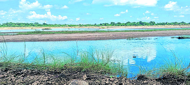 ప్రాణాలు తోడేస్తూ! 1