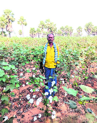 పత్తి రైతుకు మద్దతు 1