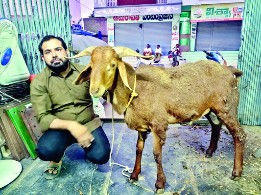 ● ధర వింటే దిమ్మ తిరిగిపోతోంది! 2