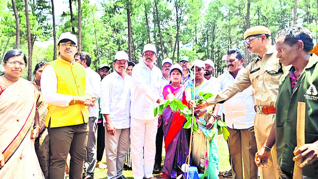 ప్రజల భాగస్వామ్యంతోనే పర్యావరణ పరిరక్షణ 1