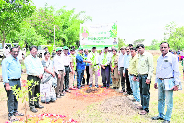 చెట్లు నరికితే కఠిన చర్యలు1