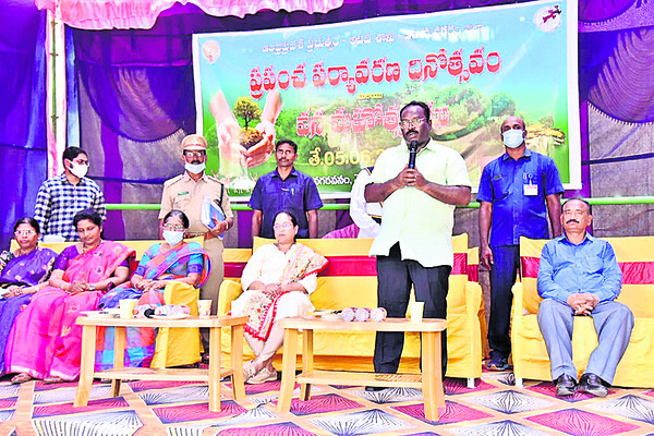 మొక్కలతో వాతావరణంలో సమతుల్యం1