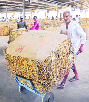 ధర కోసం మొర 8