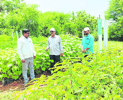 న్యాయవాదుల సమస్యలపై కేబినెట్లో చర్చించండి2