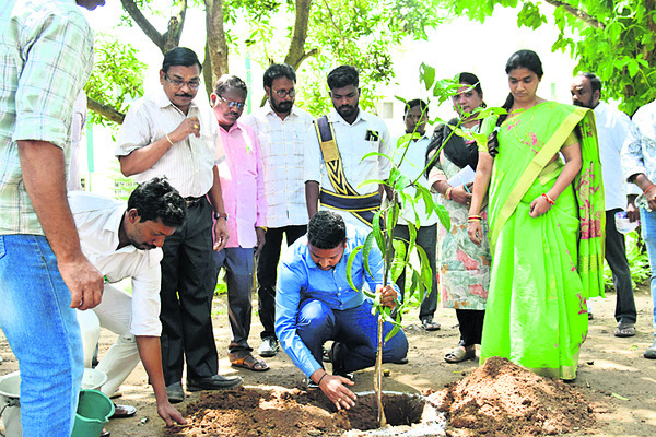 ప్రజల భాగస్వామ్యంతోనే పర్యావరణ పరిరక్షణ 3