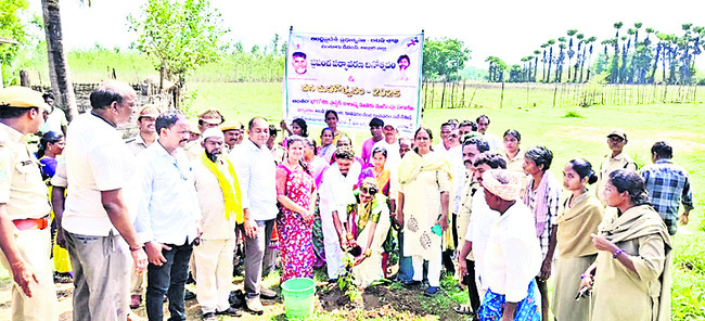 ప్రజల భాగస్వామ్యంతోనే పర్యావరణ పరిరక్షణ 2