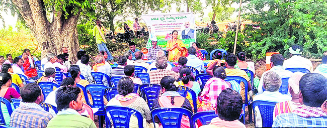 సరైన యాజమాన్య పద్ధతులు పాటించాలి1