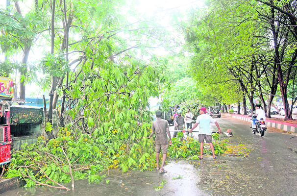 కుమ్మేసిన వర్షం 3