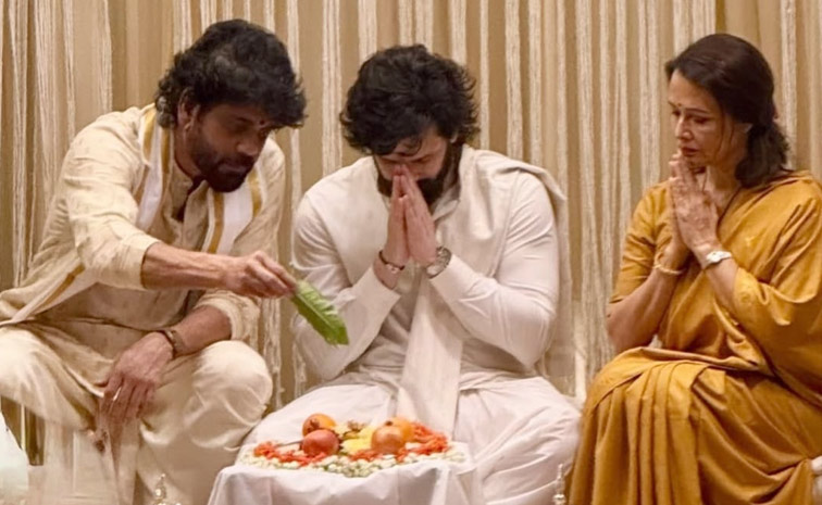 Celebrities At Akkineni Akhil Wedding In Hyderabad Photos9