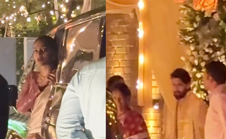 Celebrities At Akkineni Akhil Wedding In Hyderabad Photos7