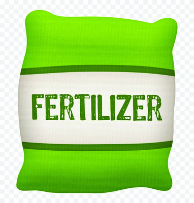 ● చట్టాలు ఉన్నా అమలు ఎక్కడా? 6