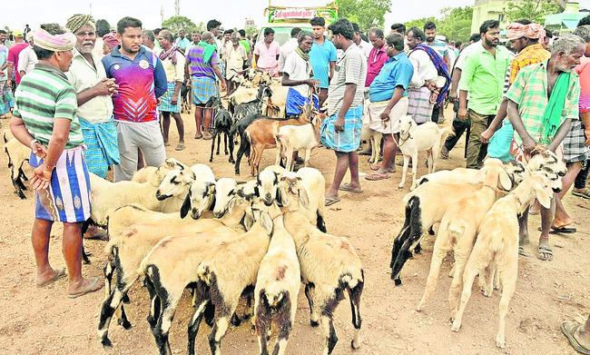 ముస్తాబు 2