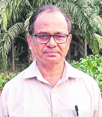 ముందస్తు సాగుకు శ్రీకారం3