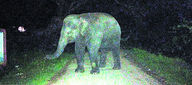 సౌర విద్యుత్‌తో  బహుళ ప్రయోజనాలు 2