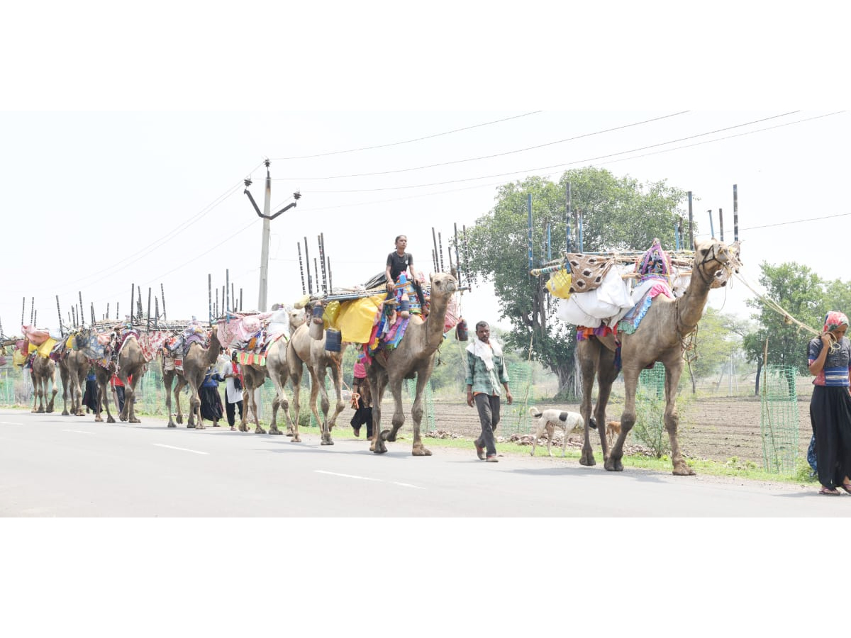 Best Photos of The Week in AP and Telangana Photo Gallery2