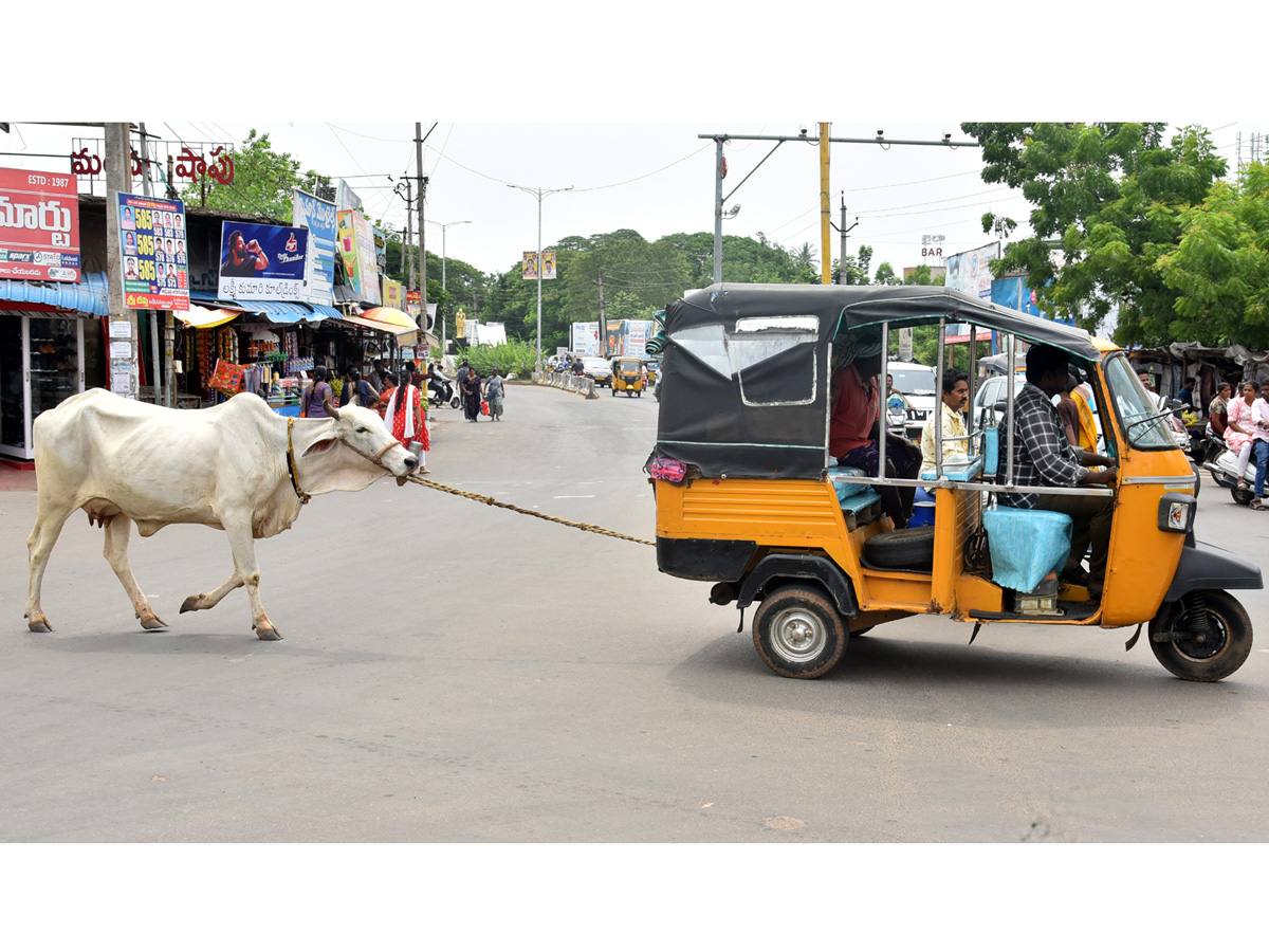 Best Photos of The Week in AP and Telangana Photo Gallery13