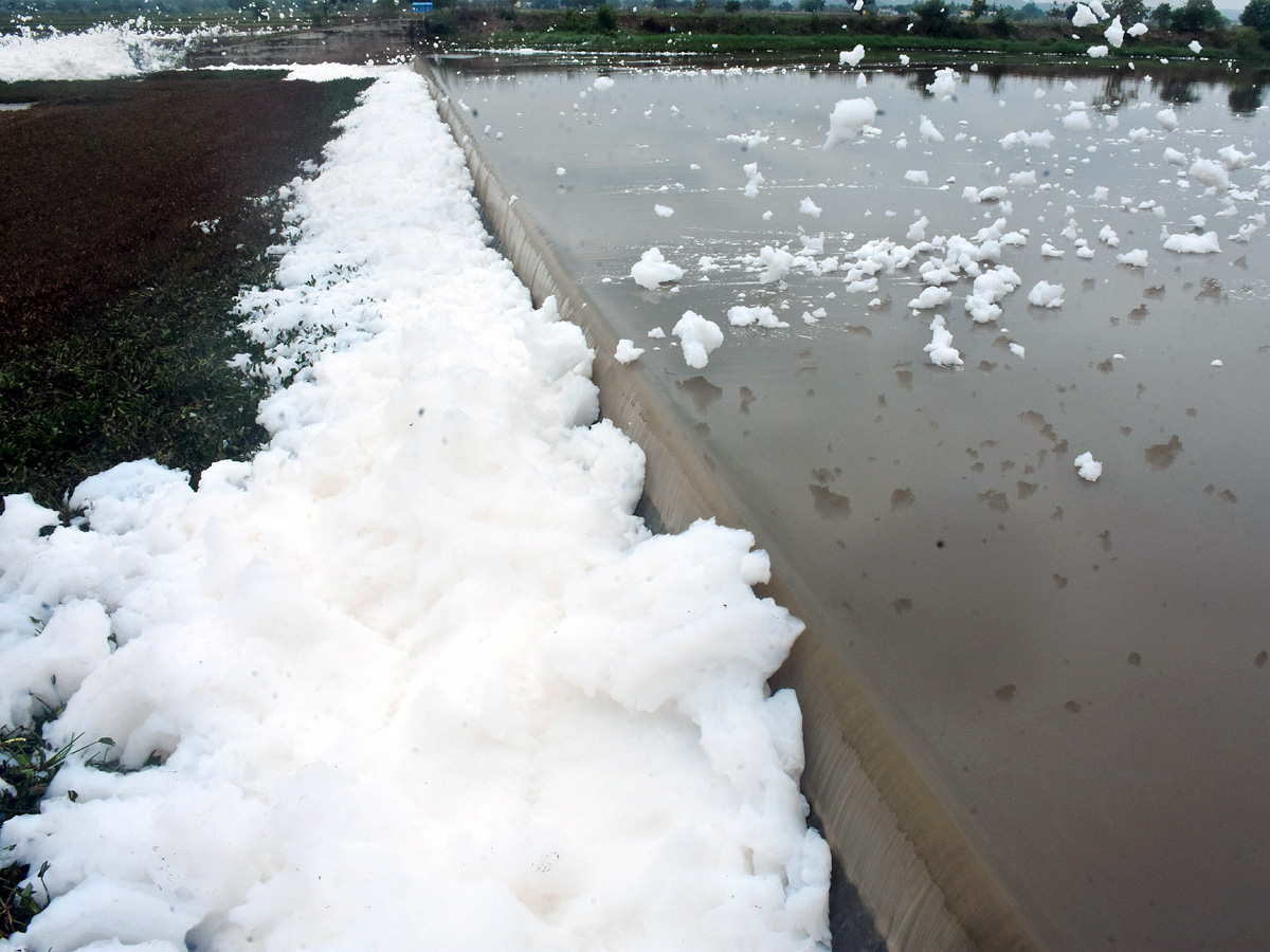 Best Photos of The Week in AP and Telangana Photo Gallery27