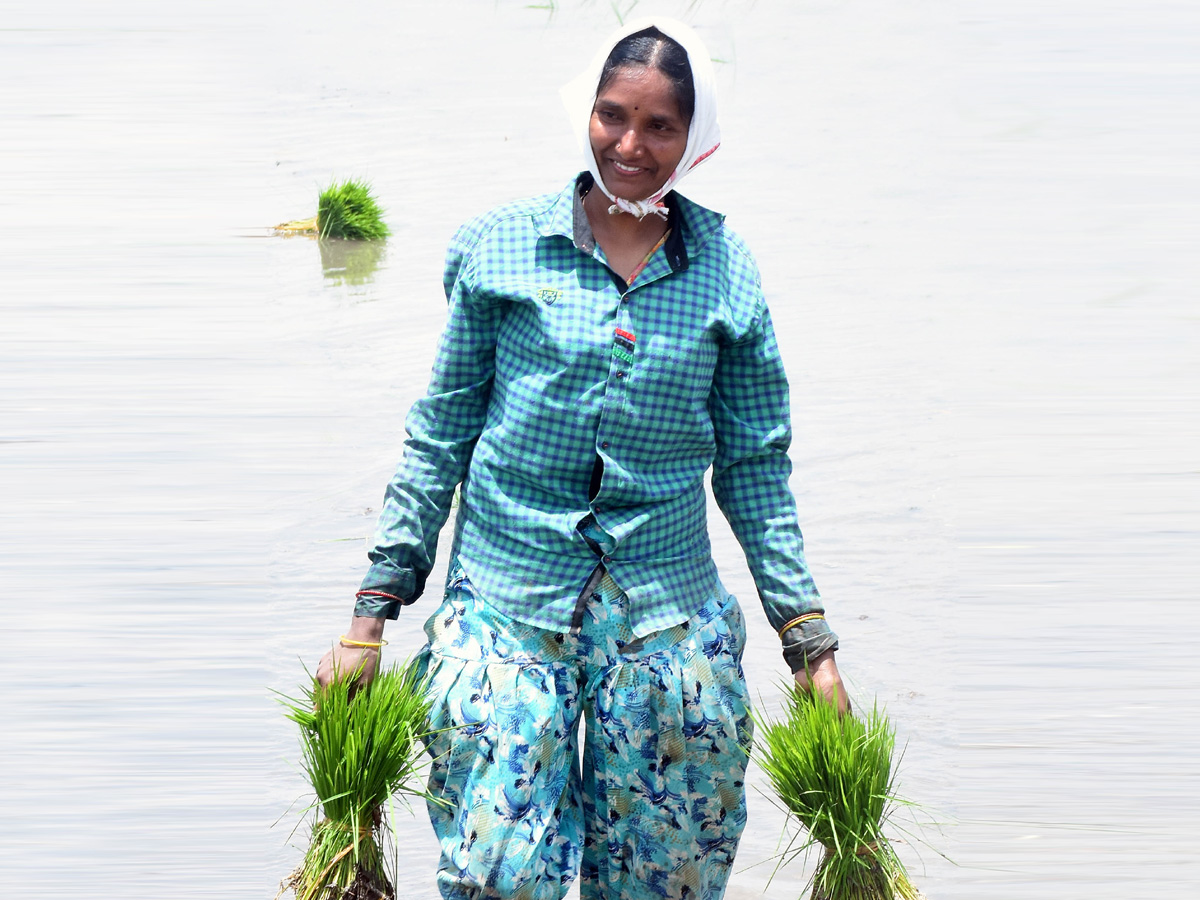 Best Photos of The Week in AP and Telangana Photo Gallery28
