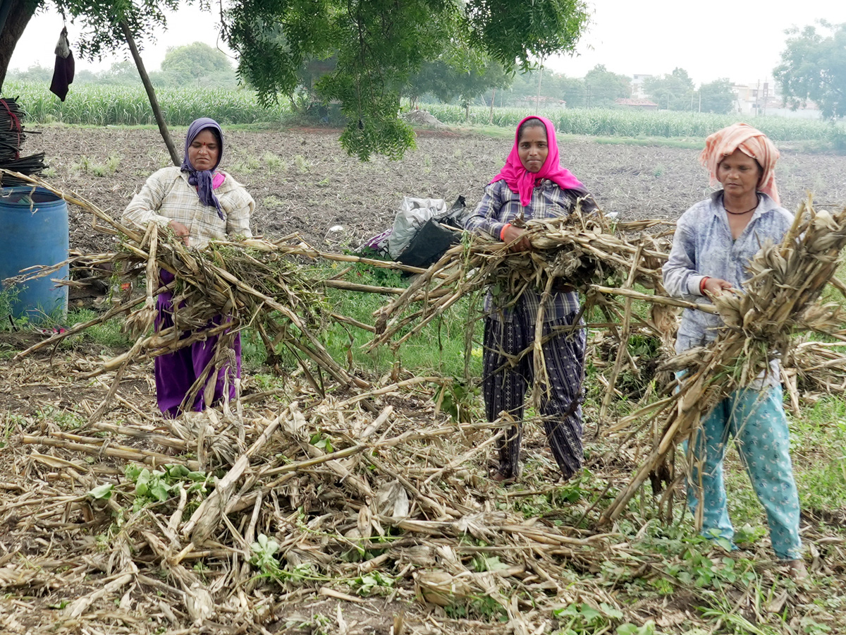 Best Photos of The Week in AP and Telangana Photo Gallery33