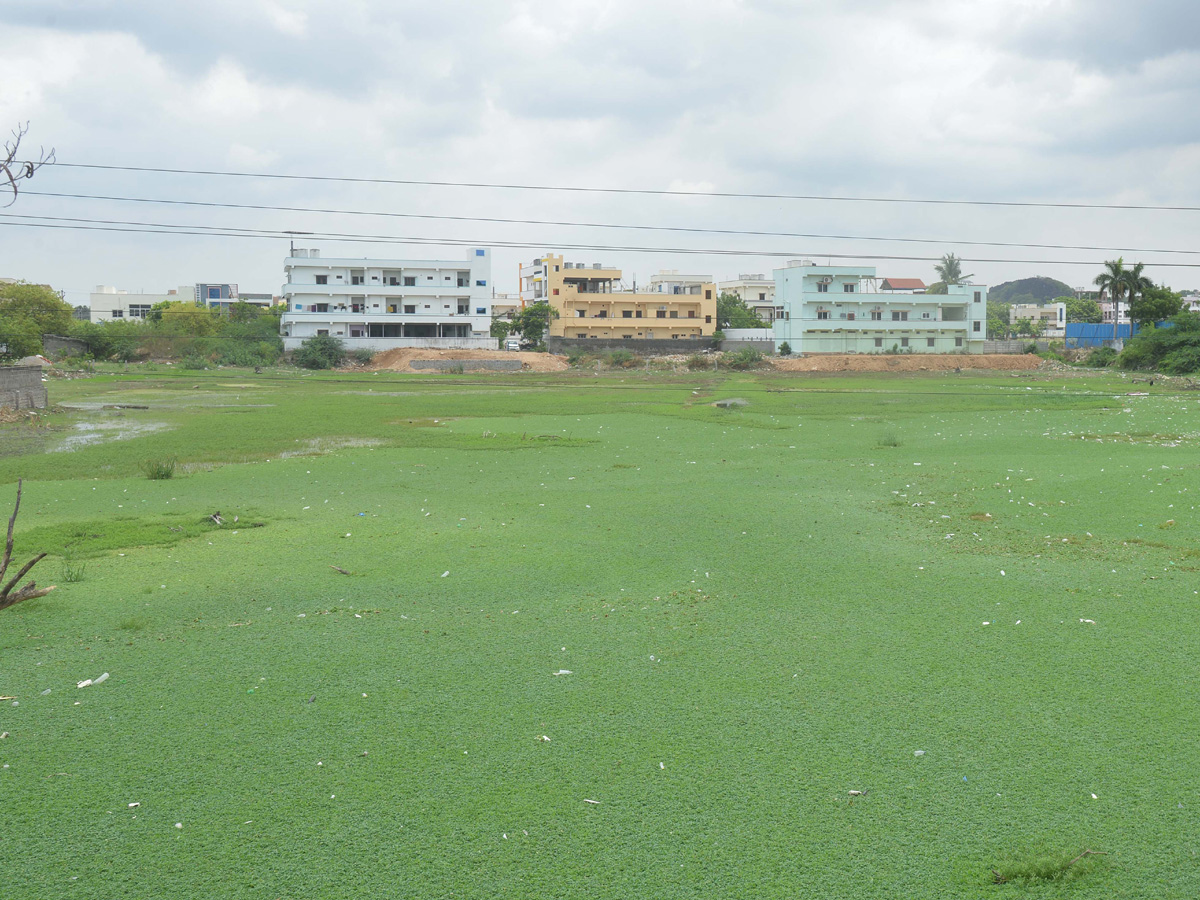 Best Photos of The Week in AP and Telangana Photo Gallery37