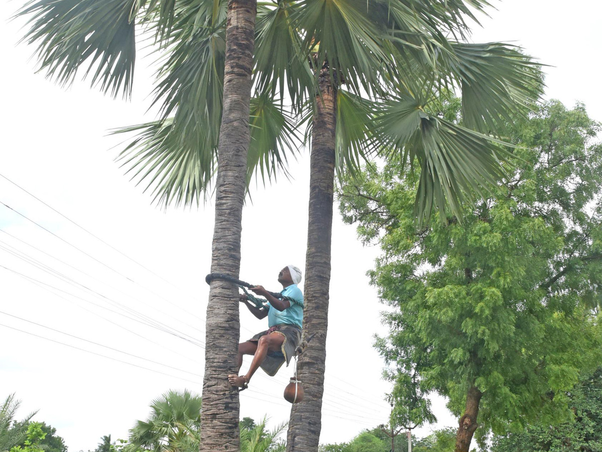 Best Photos of The Week in AP and Telangana Photo Gallery40