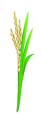 ఇదేం మద్దతు?1