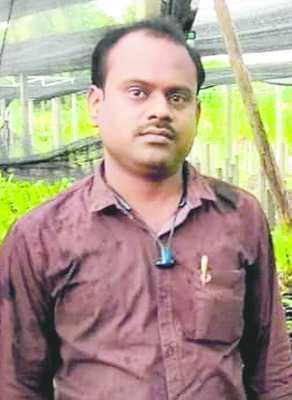 అంతకందకూ తెగుళ్లు3
