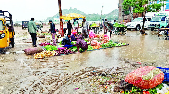 మొక్కల పెంపకానికి ప్రాధాన్యత ఇవ్వాలి1