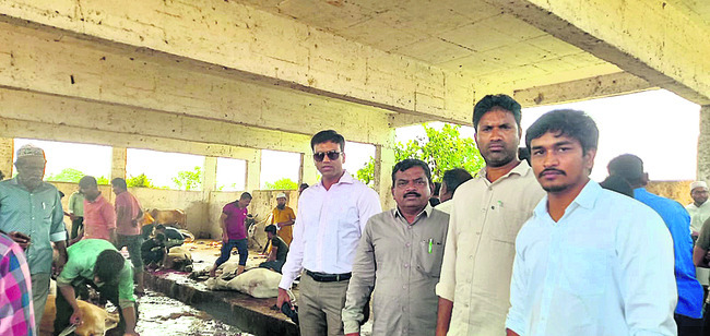 స్లాటర్హౌస్ తనిఖీ3