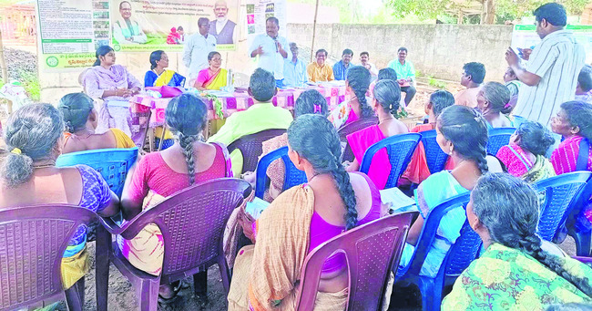 పంట మార్పిడితో అధిక దిగుబడి 1