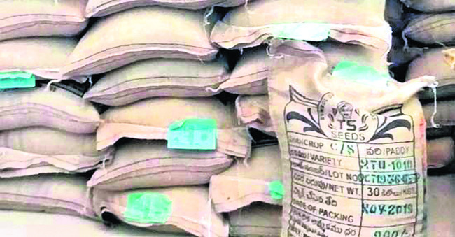 విత్తన ఎంపికే కీలకం1