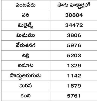 విత్తన ఎంపికే కీలకం2