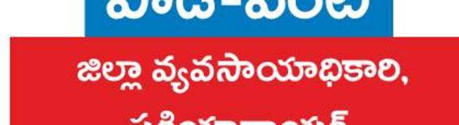 నాణ్యమైన విత్తనంతో అధిక దిగుబడి 2