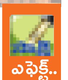ఎంపీడీఓ కార్యాలయానికి చేరిన కలప 1